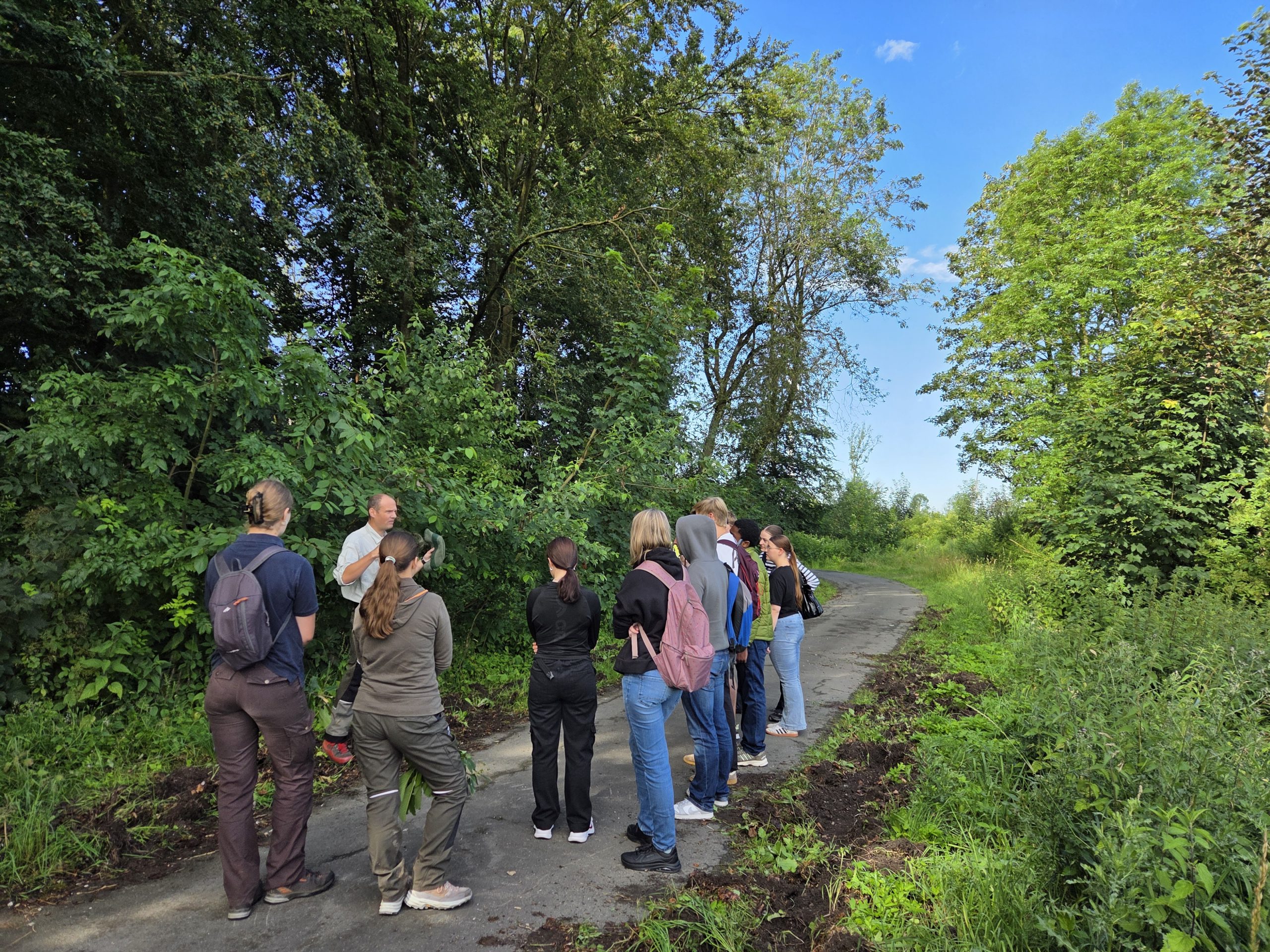 Zwischen Borkenkäfer, Biodiversität und nachhaltiger Forstwirtschaft – der Biologie-LK im Wald